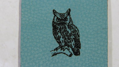NEJE KZ3000 owl on synthetic leather
