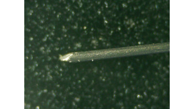 Tuingsten electrode under a microscope