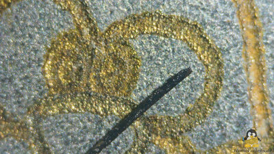 HomoFaciens Coin under a microscope